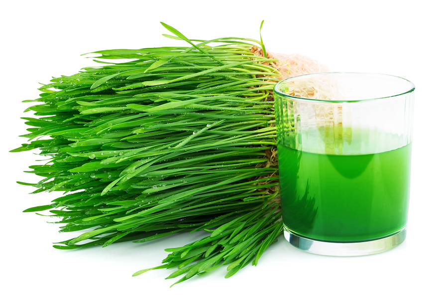 Wheatgrass Juice With Sprouted Wheat