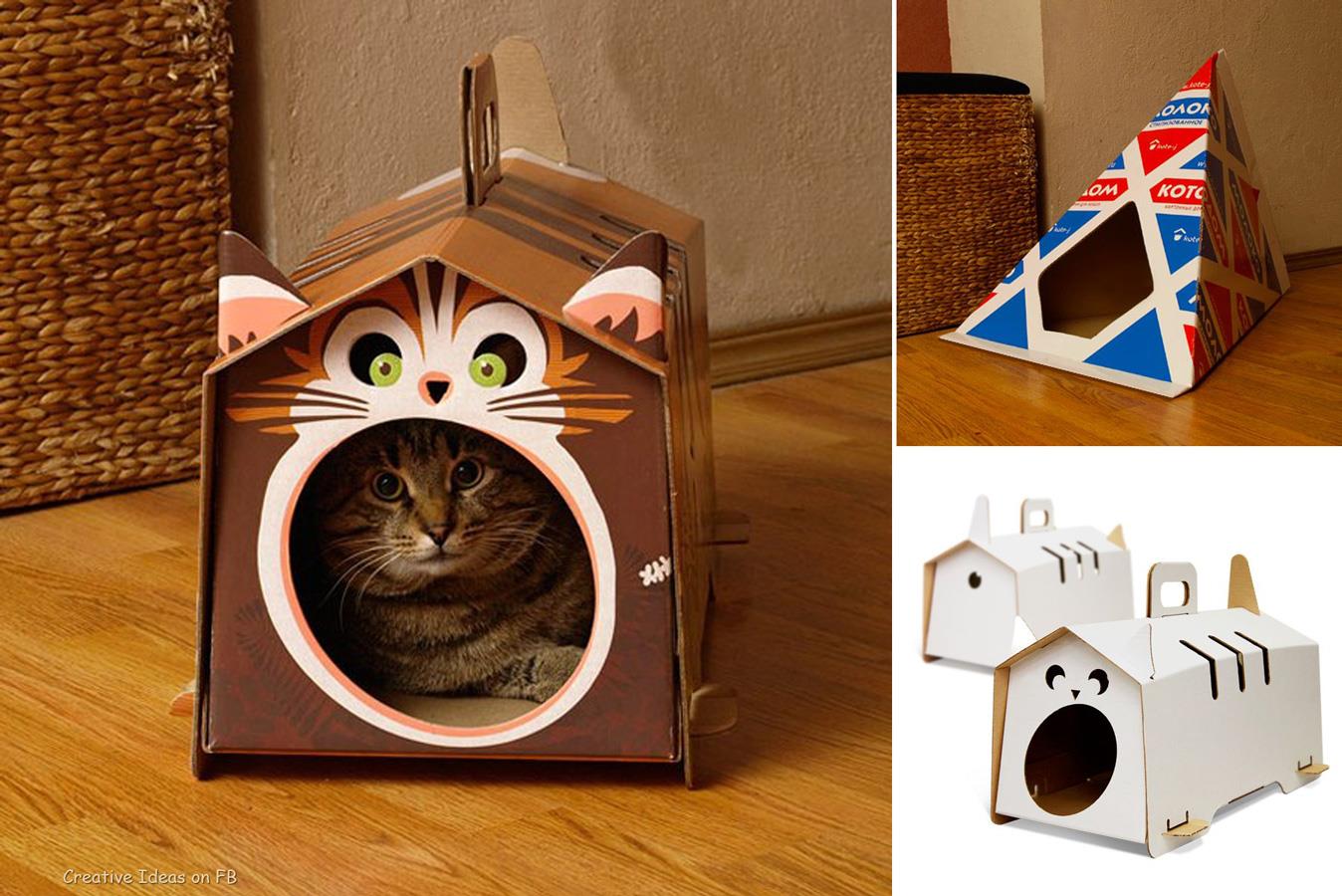 casa-pisici-carton