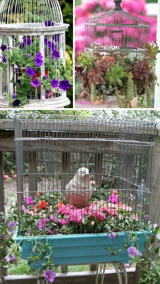 decoratiuni-colivii-pasari-pentru-gradina