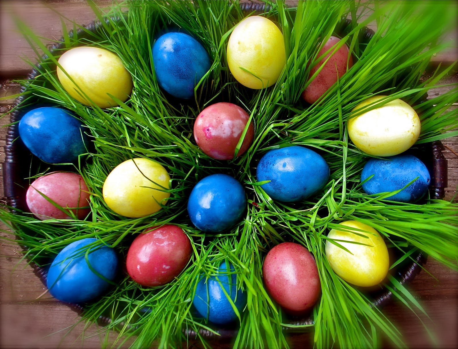 Oua vopsite natural culori