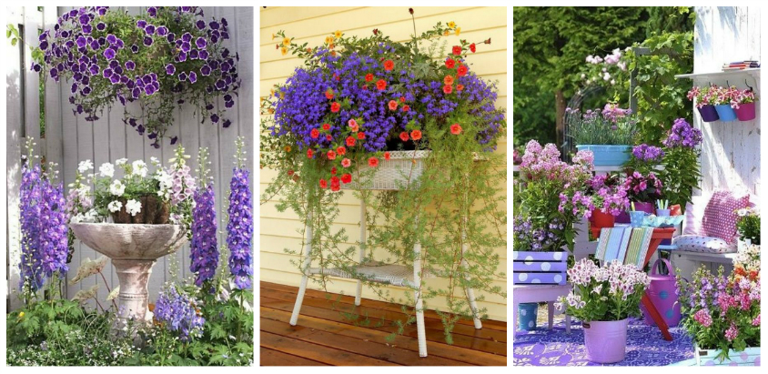 slave weather Typically Amenajari cu flori in ghivece – 15 idei de decoruri splendide pentru  gradina ta